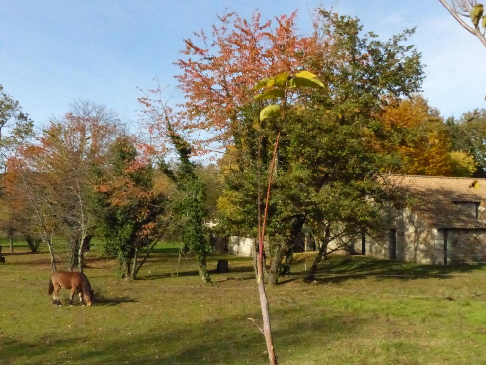 Terres De France - Le Domaine Des Vans 3*